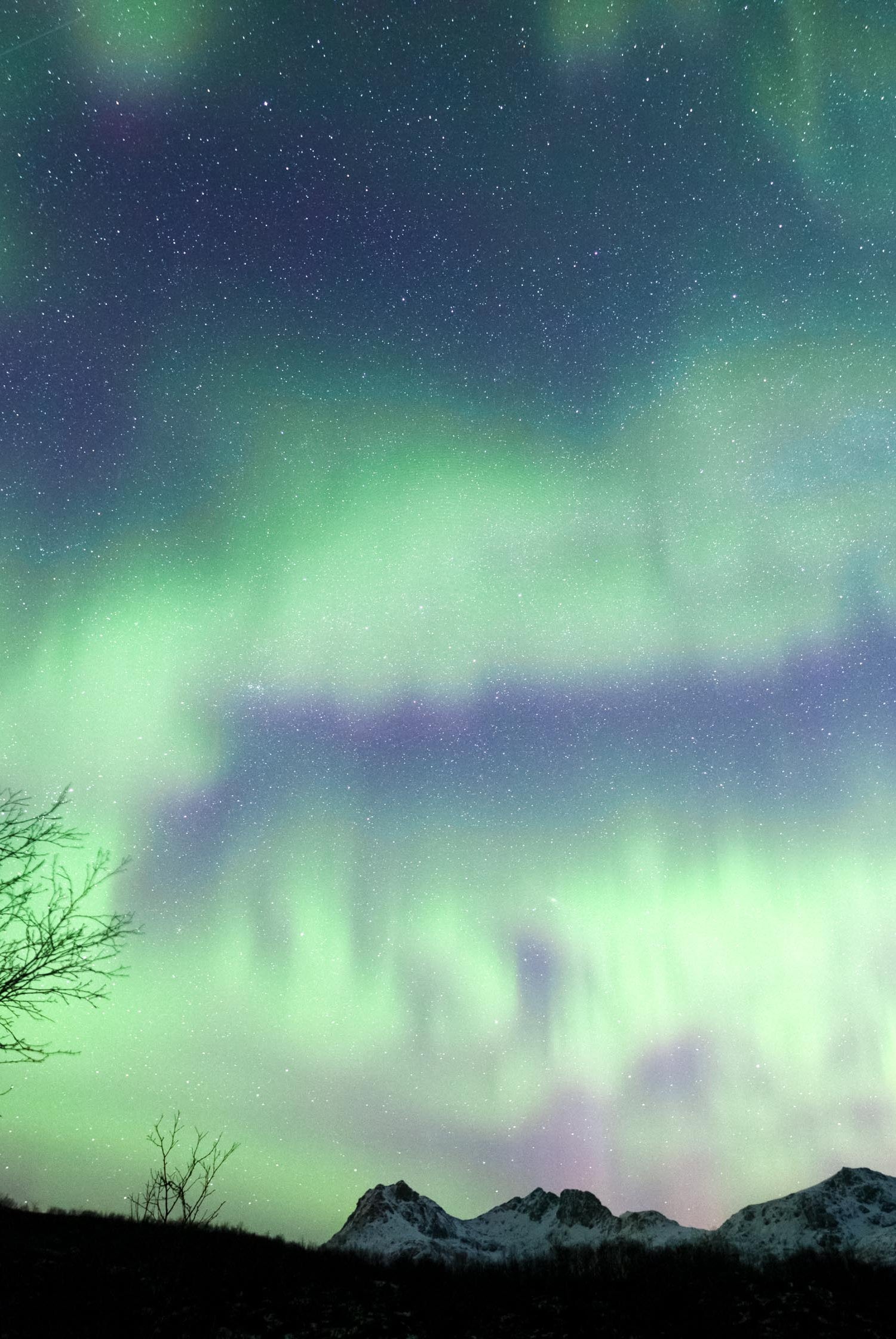 Lancscape_Aeroture_Print_2007 - Aeroture