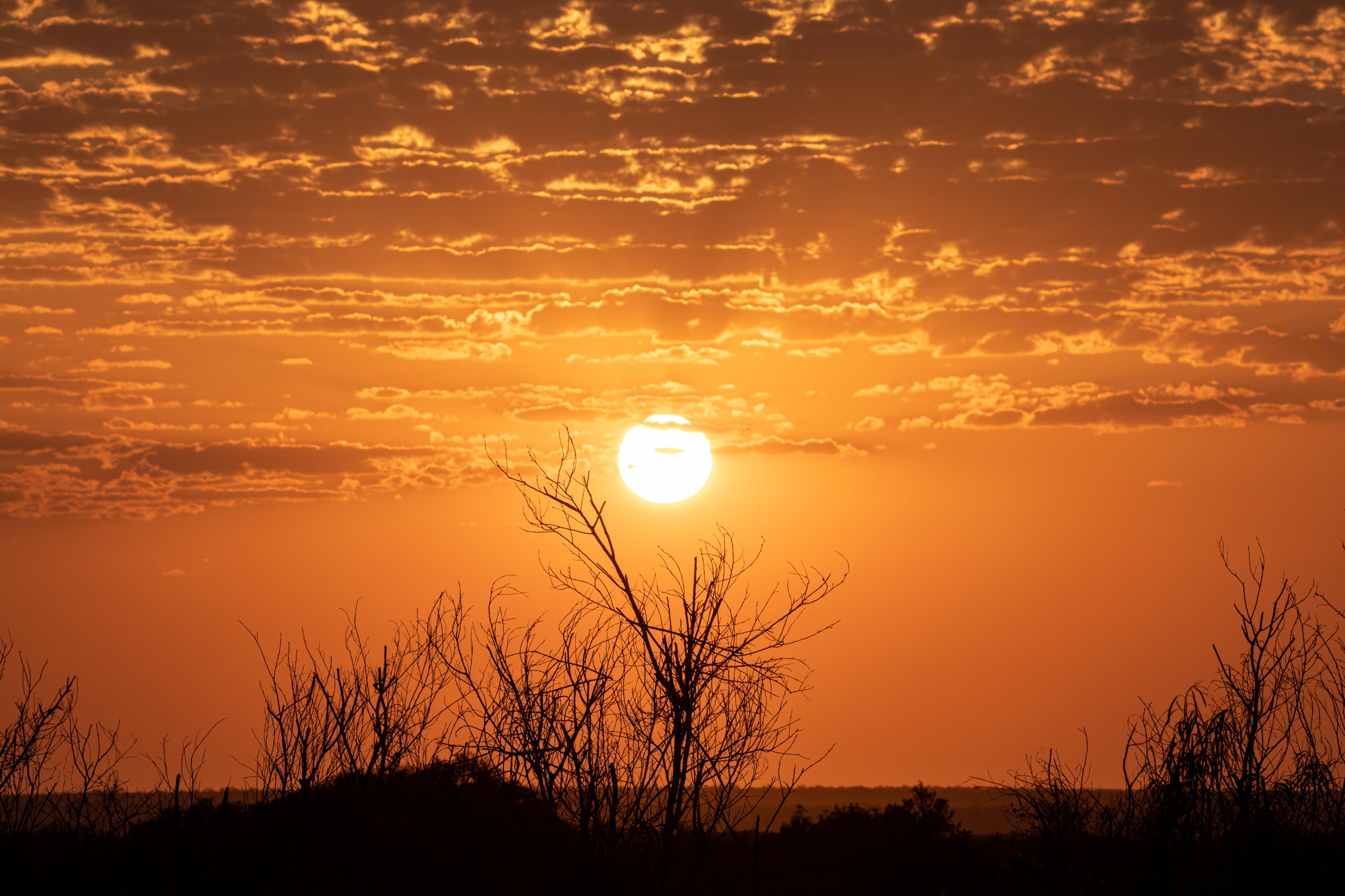 Lancscape_Aeroture_Print_2003 - Aeroture