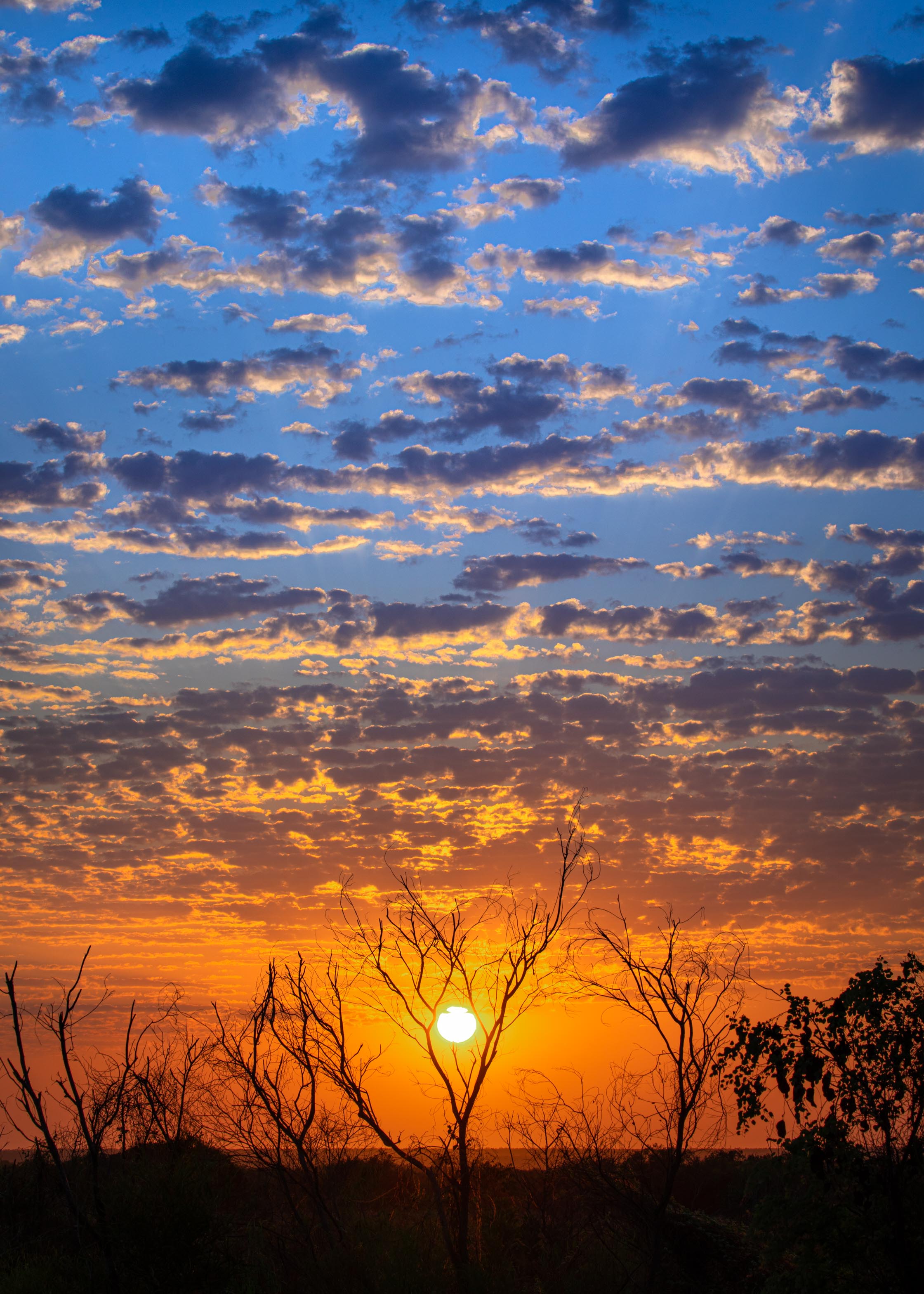 Gradient Sunrise 2004 - Aeroture